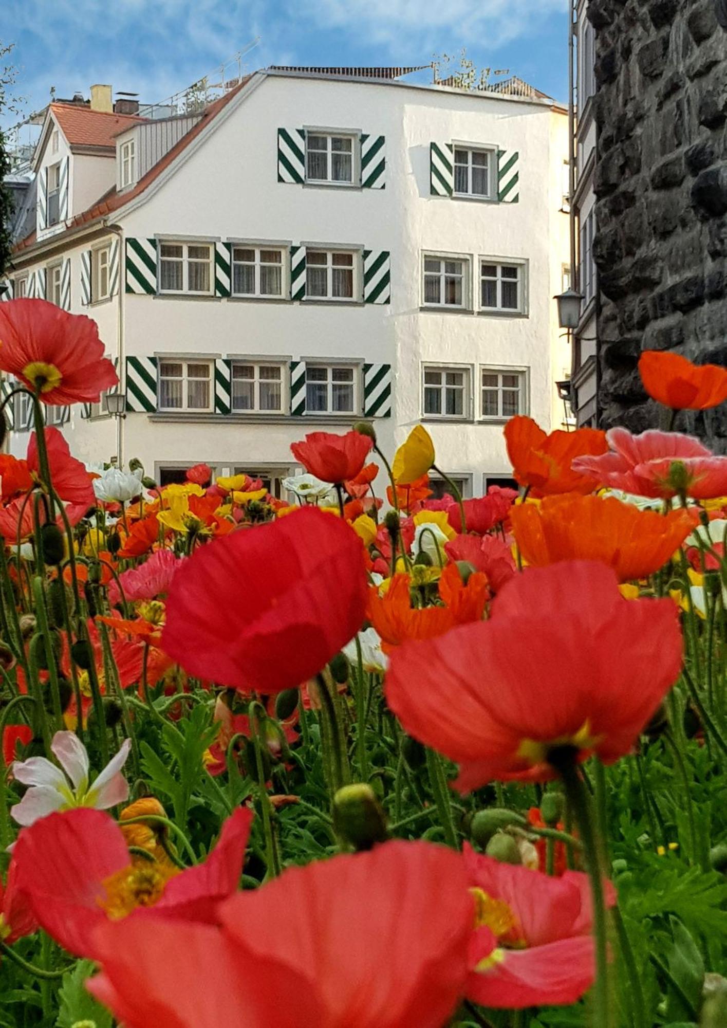 Adoris Ferienwohnungen Auf Der Lindauer Insel 林道 外观 照片